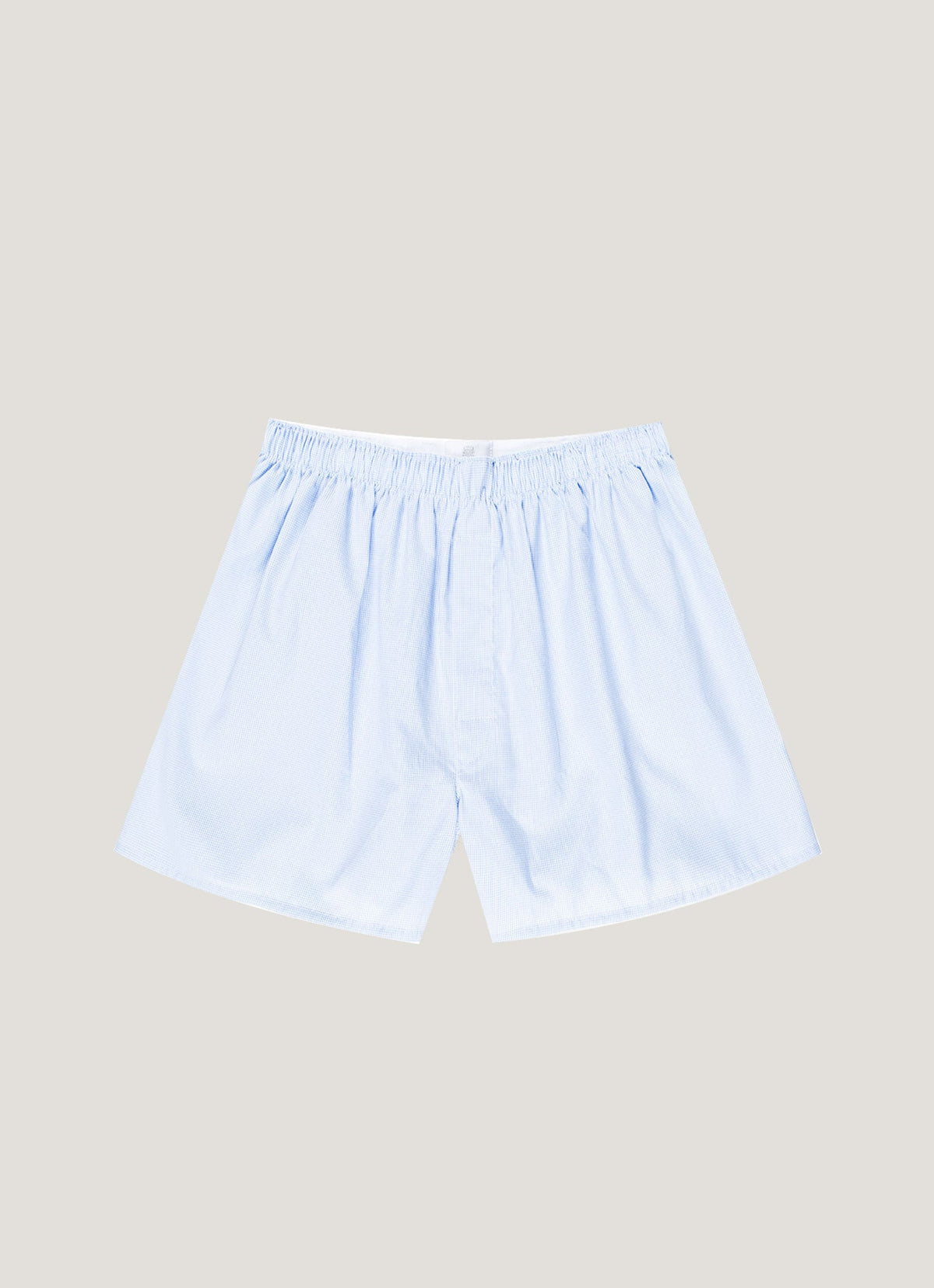 Light Blue Micro Gingham,XS